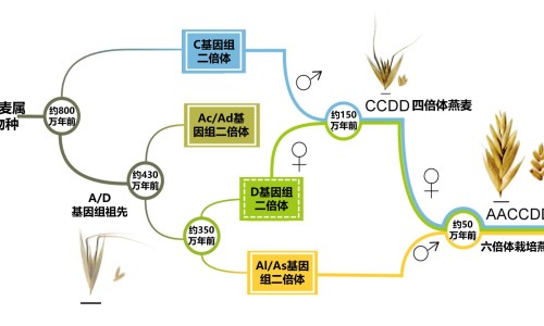 出汗了立马洗澡-出汗立马洗澡会怎样-专业出汗立马洗澡会有什么坏处平台-出了汗立刻洗了澡会怎么样